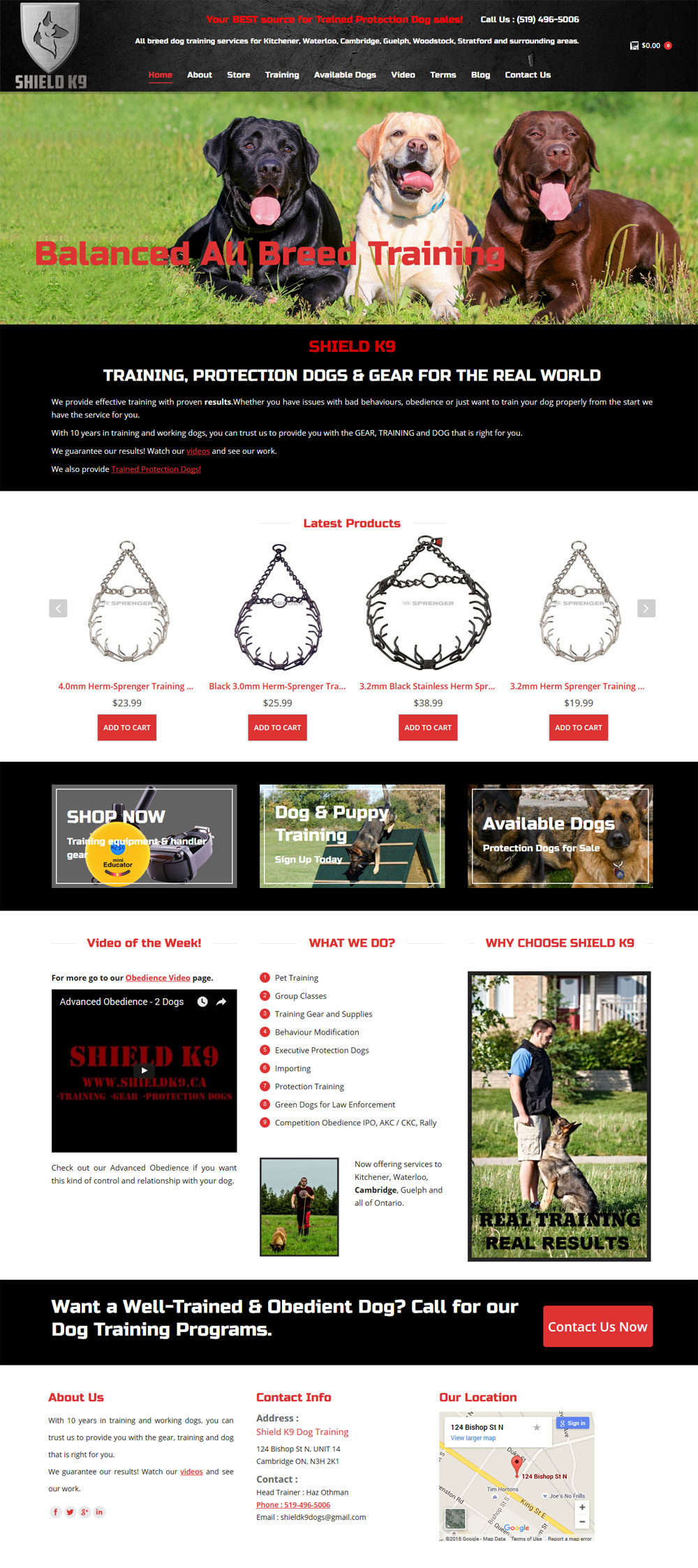 eCommerce  Web Design  Edmonton