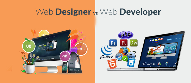 Web Designer Vs. Web Developer: How They Create A website