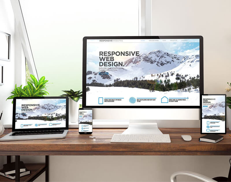 Web Design Edmonton